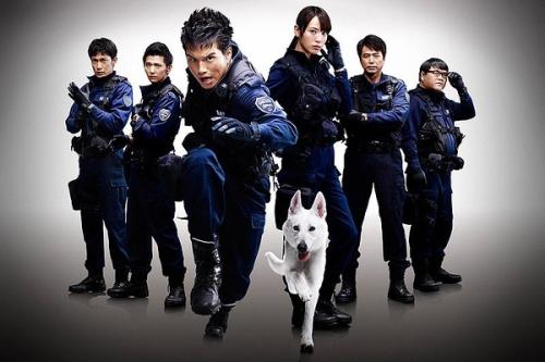 日本名古屋造形艺术大学文凭毕业证怎么制作